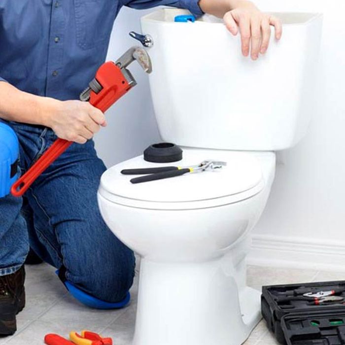 toilet-repair